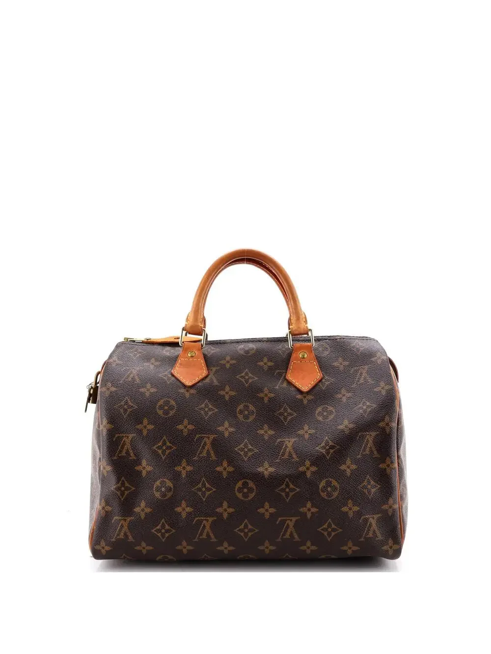 Louis Vuitton Speedy Handbag Canvas 30 #333613L14B